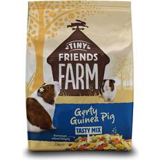 Gerty Guinea Pig Guinea - Pig Feed