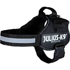 Julius-K9 Hundehalsbänder & -geschirre Haustiere Julius-K9 Belt Belt Black Mini