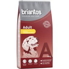 briantos Adult Kylling & Ris 3kg