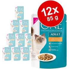 Purina Adult Kana Vihreät Pavut 13 x 85 g