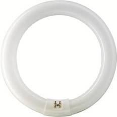 Circular Lámparas Fluorescentes Philips Circuline fluorescente lamp dire c10q 32w d30 warm light e3283n