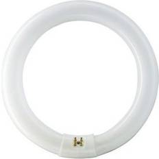 Lampes Fluorescentes Philips G10Q Circline 32W 6500K /865 [Classe énergétique A]