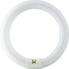 Cirkelvormig Fluorescentielampen Philips Tl-lamp Rond Koel Wit 32w G10q