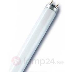 B Fluorescent Lamps Osram L Fluorescent Lamp 30W G13 77