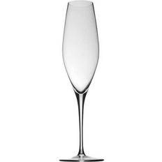 Rosenthal Champagne Glasses Rosenthal Fuga Champagne Glass 32cl