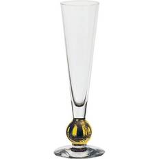 Nobel glas Orrefors Nobel Champagneglas 17cl