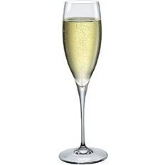 Bormioli Rocco Champagneglas Bormioli Rocco Premium Champagneglas 25cl 6st