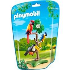 Playmobil Jouets vente Playmobil Tropical Birds 6653