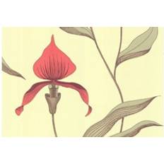 Cole & Son Orchid Designtapete von and Hellgrün/ Rotorange jaune