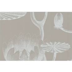 Cole & Son Lily Wallpaper New Contemporary Ii Collection 69/3110 Roll