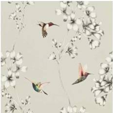 Harlequin Kolibri Tapete Amazilia von Silver argent