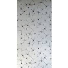 Mimou Dragonfly (wp2166)