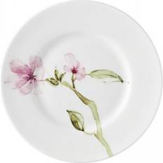 Rosenthal Assietter Rosenthal Jade Assiett 16cm