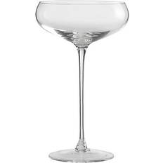 LSA International Bar Champagne Glass 30cl 4pcs