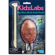 4M Dig Glow Shark Tooth Fossils