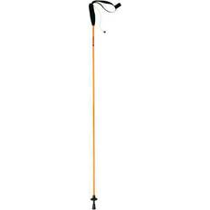 Senior Downhill Ski Poles Ferrino Eiger 135