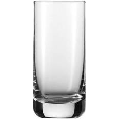 Schott Zwiesel Convention Beer Glass 32cl