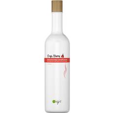 O'right Goji Berry Volumizing Conditioner 400ml