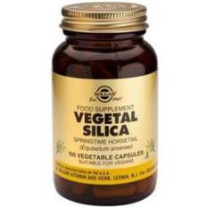 Silica Solgar Vegetal Silica 100 pcs