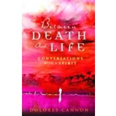 Between Death and Life - Conversations with a Spirit (E-Book, 2015)