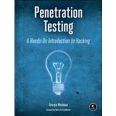 Penetration Testing: A Hands-On Introduction to Hacking (Paperback, 2014)