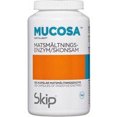 Mucosa