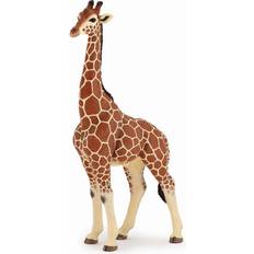 Papo Giraffe Male 50149