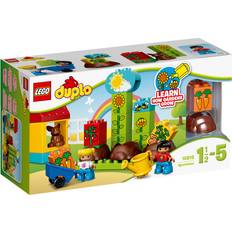 Duplo LEGO DUPLO 10819 Mon premier jardin