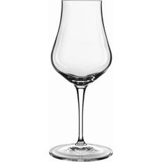 Bormioli snifter Luigi Bormioli Vinoteque Spirits Snifter Vinglas 17cl 2stk