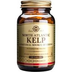 Dam Vitaminer & Mineraler Solgar North Atlantic Kelp 250 Pcs 250 st