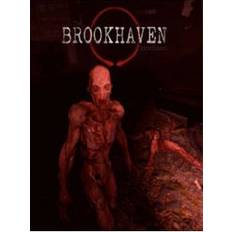 The Brookhaven Experiment (PC)