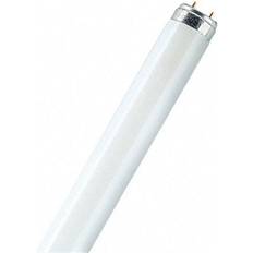 Kallvit Lysrör Sylvania 0002764 Fluorescent Lamp 21W G5