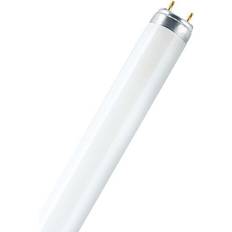 Sylvania 0001521 Fluorescent Lamp 38W G13