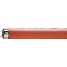 Philips Lampade Fluorescenti Philips MASTER TL D 36W Rosso 120cm