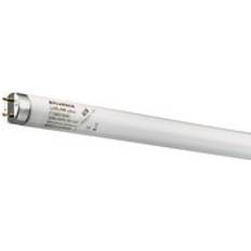 Sylvania Fluorescent Lamps Sylvania 0001095 Fluorescent Lamp 70W G13