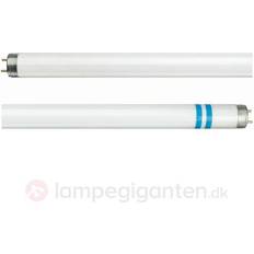 Tl d 18w 840 Philips Master TL-D Secura Fluorescent Lamp 18W G13 840