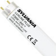 0001510 Fluorescent Lamp 36W G13