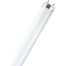 T8 lysrör 36w Sylvania 0001504 Fluorescent Lamp 36W G13