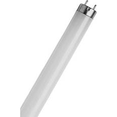 Sylvania Lyskilder Sylvania 0001502 Fluorescent Lamp 18W G13