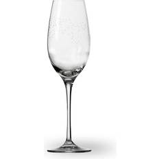 Wik & Walsøe Champagneglass Wik & Walsøe Dugg Champagneglass 30cl