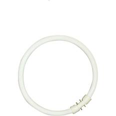 Sylvania 0000520 Fluorescent Lamp 22W 2GX13