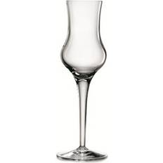 Luigi Bormioli Drink Glasses Luigi Bormioli Michelangelo Drink Glass 9cl