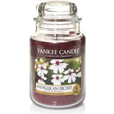 Yankee Candle Madagascan Orchid Large Scented Candle 623g