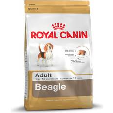 Royal Canin Mascotas Royal Canin Beagle Adult