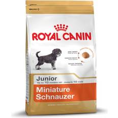 Royal canin mini puppy Royal Canin Miniature Schnauzer Junior