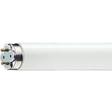 36w 865 Philips Master TL-D Xtreme Fluorescent Lamp 36W G13 865