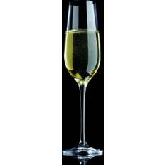 Maxwell & Williams Vino Champagne Glass 18cl 6pcs