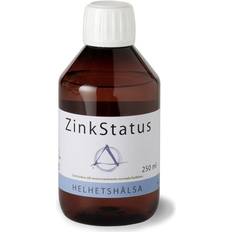 Helhetshälsa Vitaminer & Kosttillskott Helhetshälsa ZinkStatus 250ml