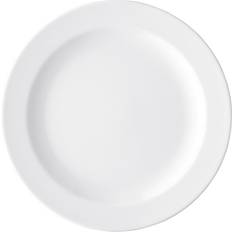 Arzberg Dinner Plates Arzberg Form 1382 Dinner Plate 25cm