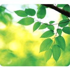 Earth Series Leaves